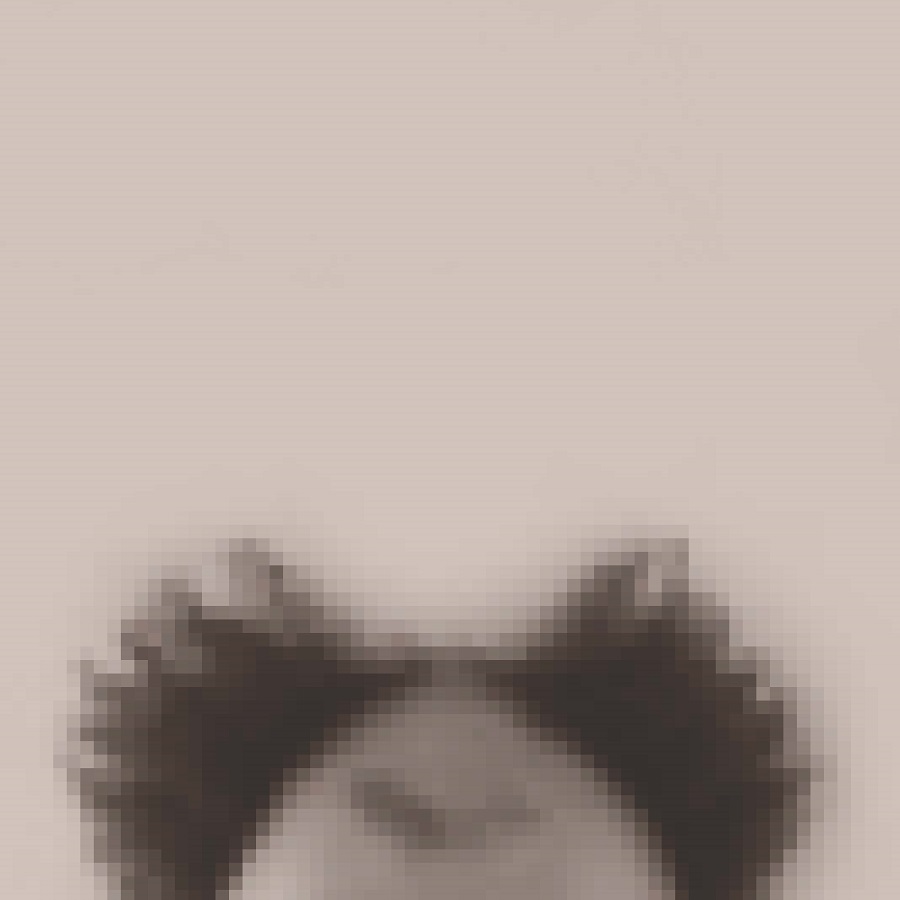 fabrice-eboue-solitudes-trianon